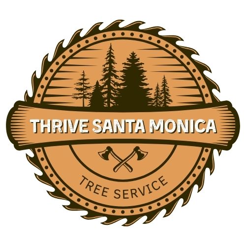Thrive Santa Monica Tree Service company logo