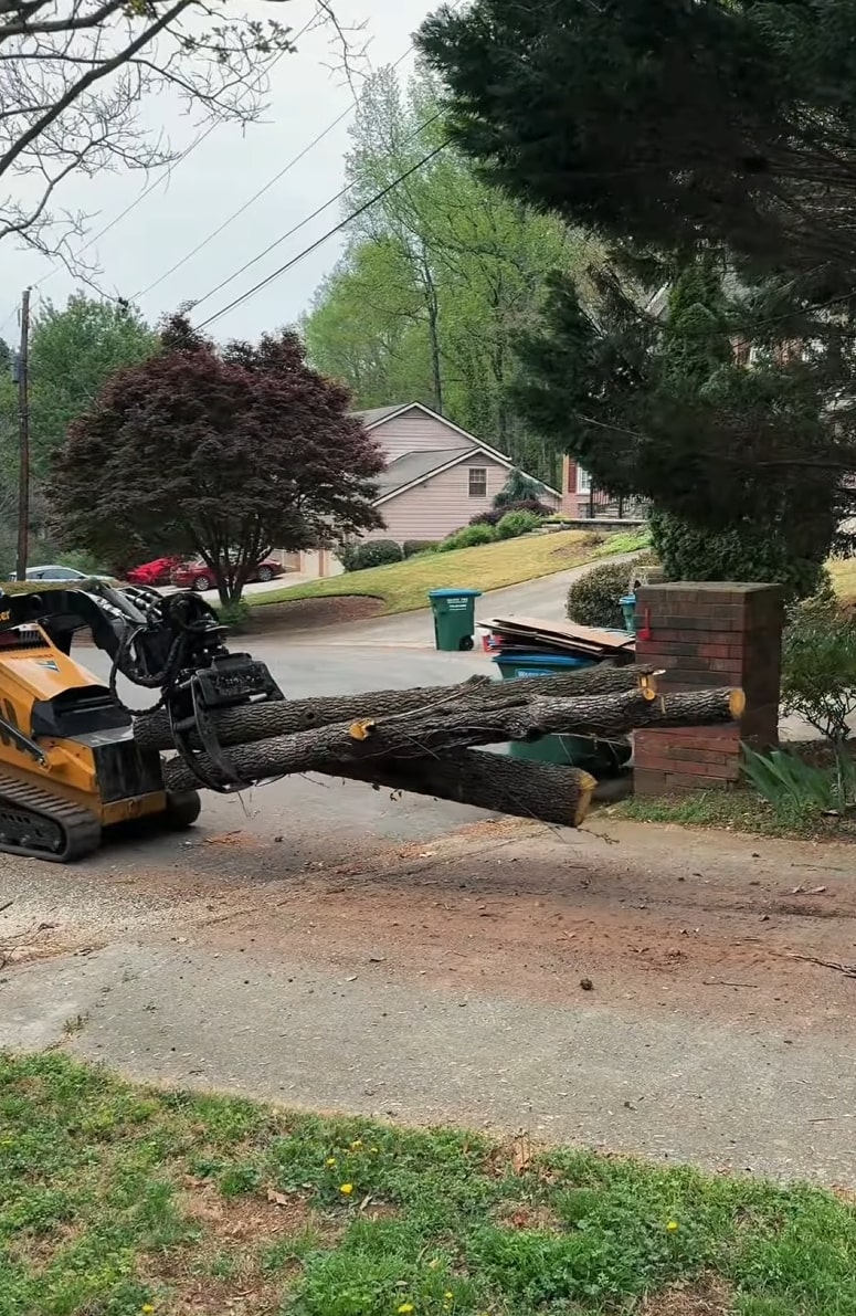 Santa Monica Tree Service professional equipment Professional tree removal equipment and skilled arborists working safely