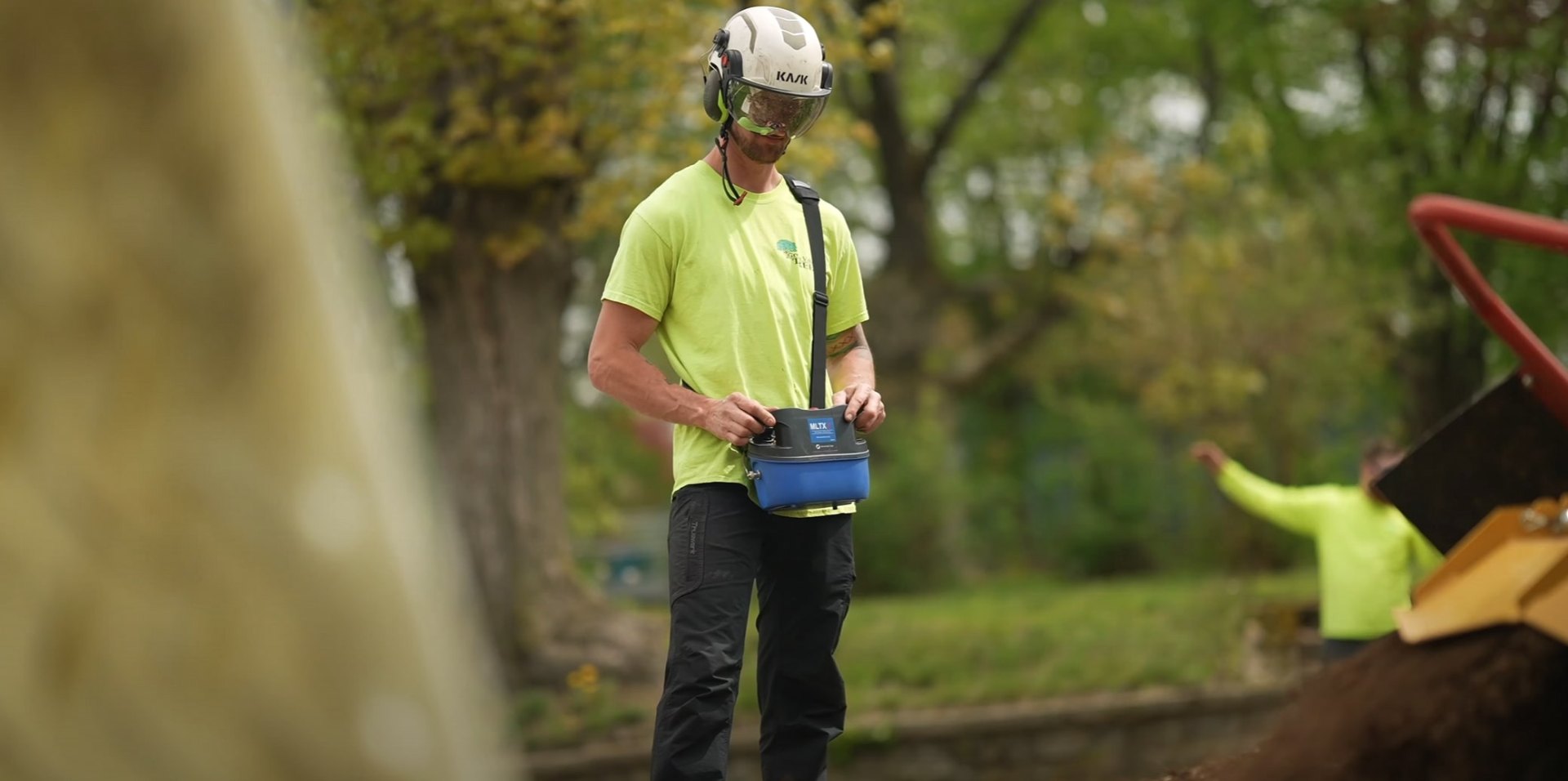 Professional tree trimming services in Santa Monica Tree service professional using specialized equipment for safe tree trimming