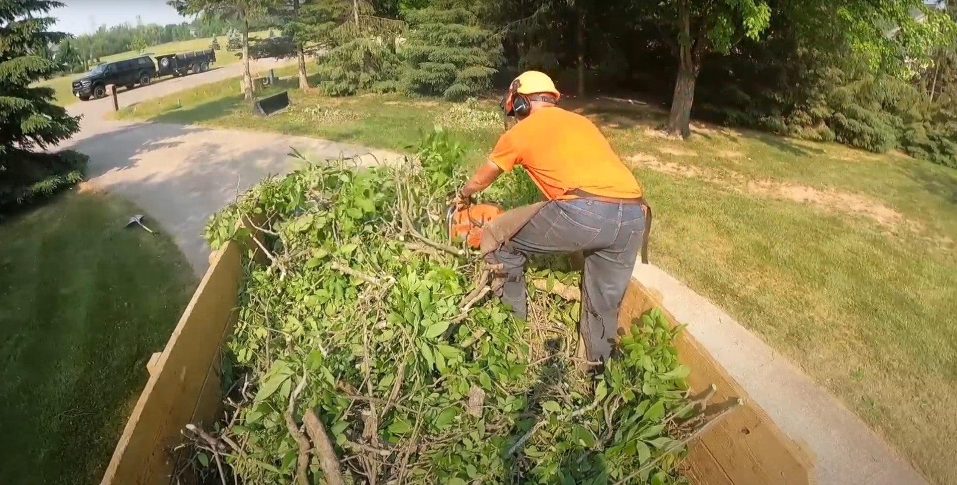 Professional stump removal and brush clearing services Tree service worker operating chainsaw for stump removal and brush clearing