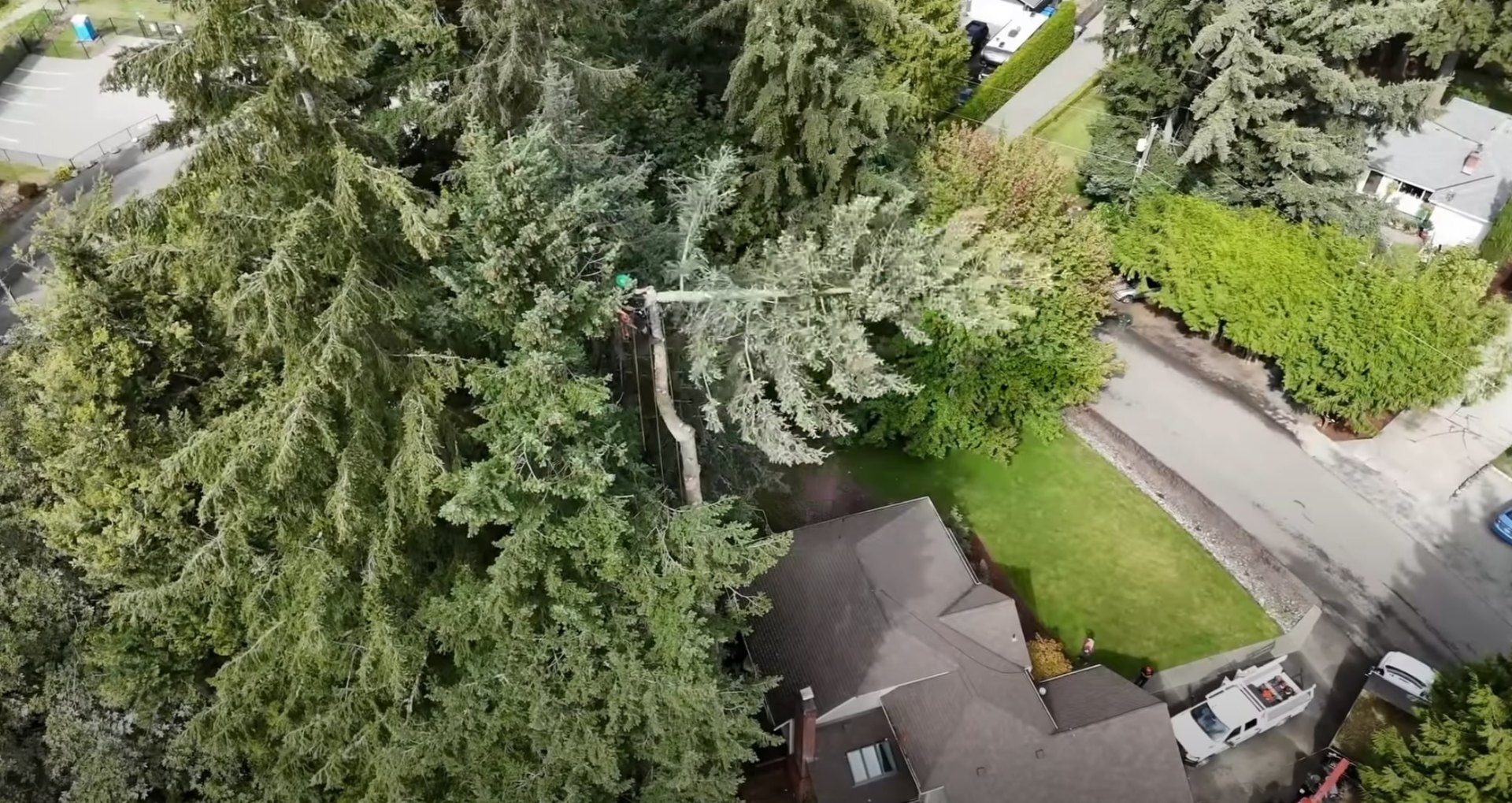 Safe tree removal near homes using professional aerial techniques Aerial view of tree removal operations near residential property with professional equipment