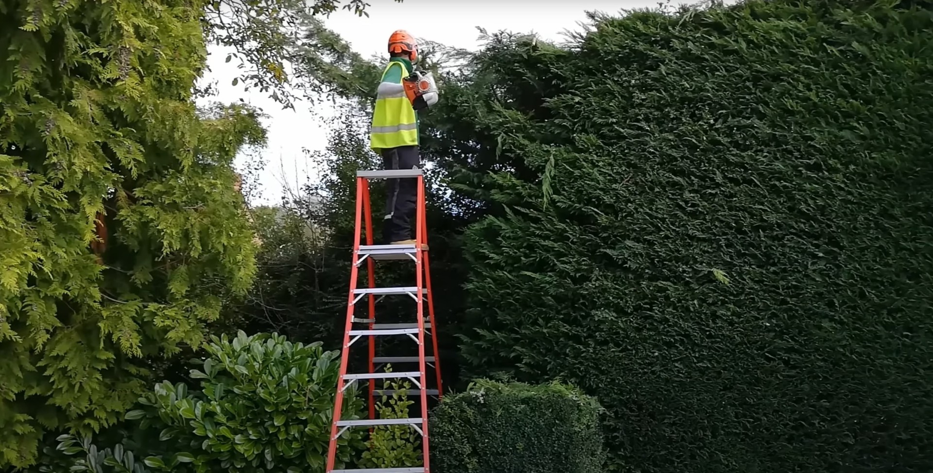 Professional hedge trimming and shrub maintenance services Certified arborist in safety gear trimming tall hedge with professional equipment
