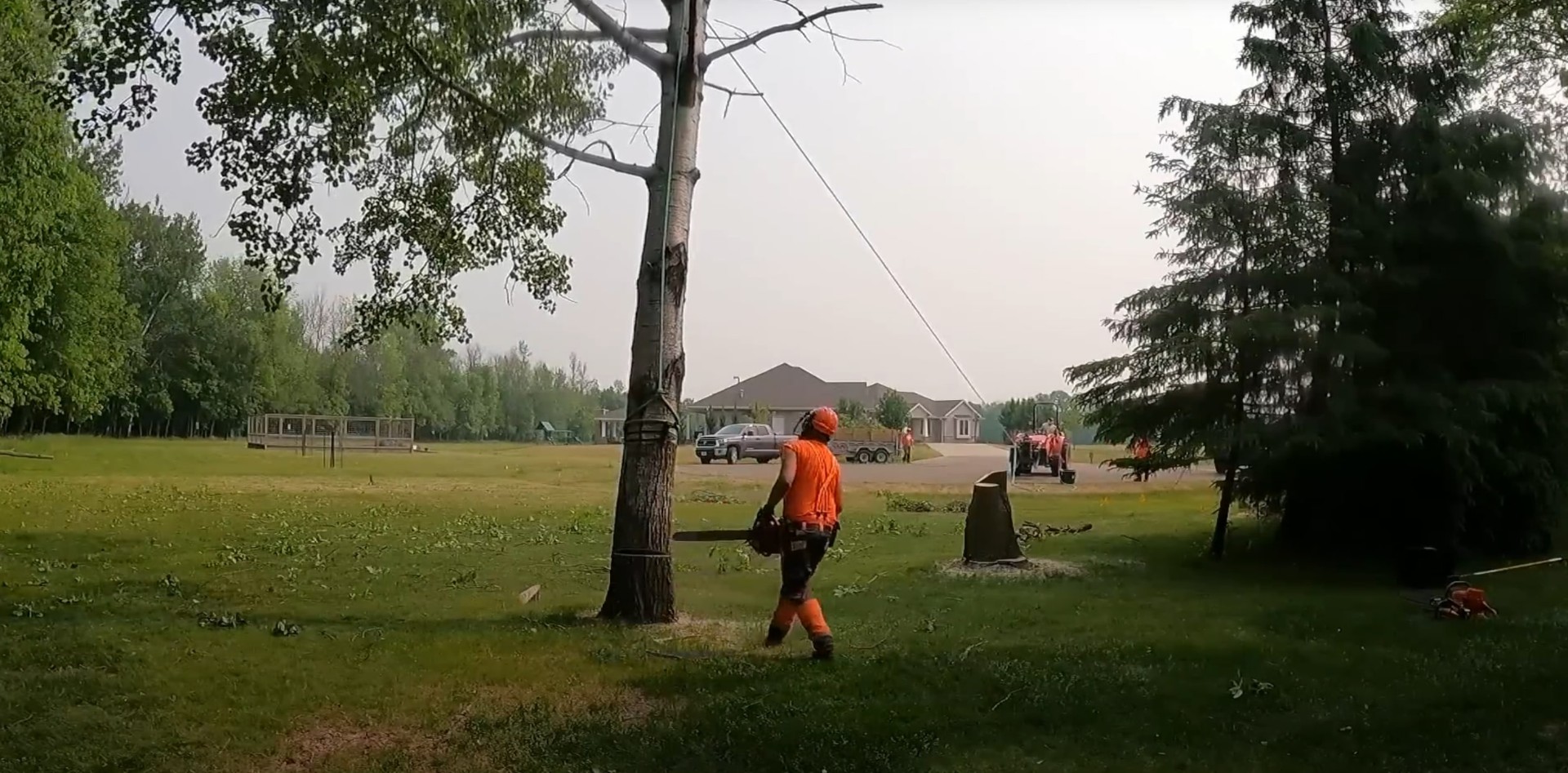 Expert tree cutting and removal in residential neighborhoods Tree service professional using chainsaw for precision tree cutting in residential area