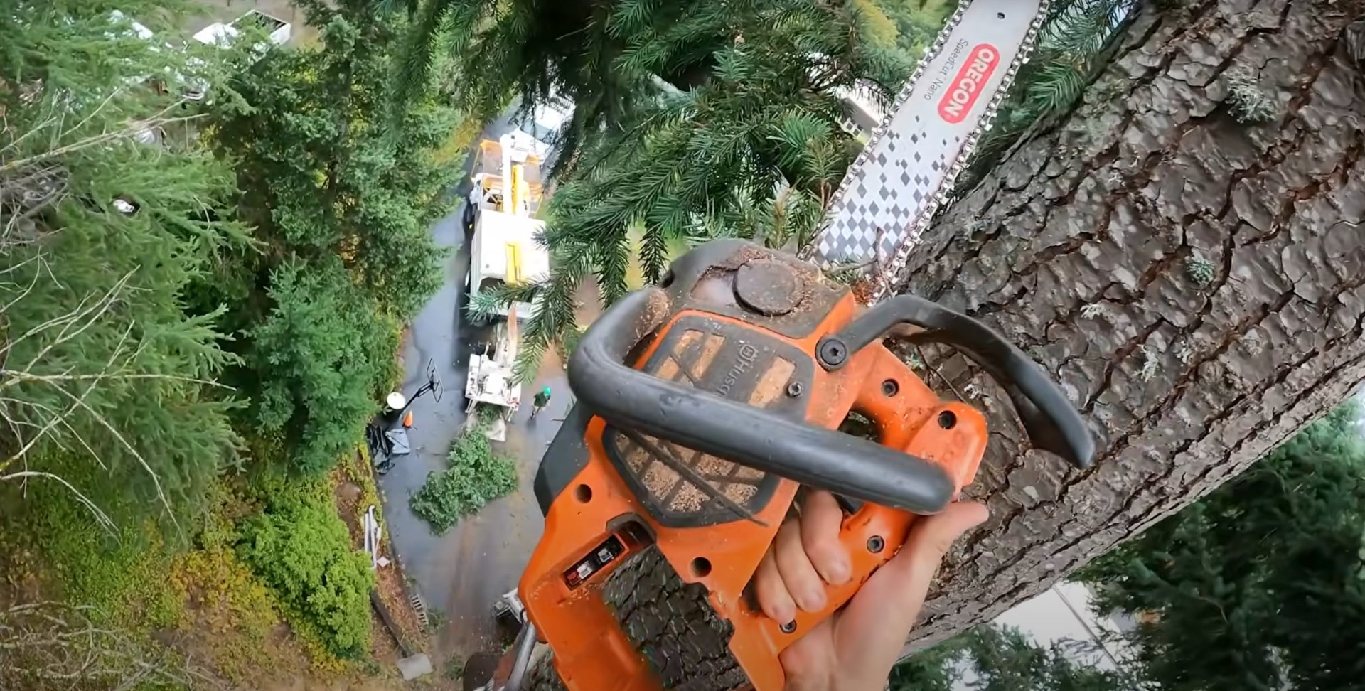 Expert tree cutting techniques and professional chainsaw operation Arborist using chainsaw for precision tree cutting showing professional technique