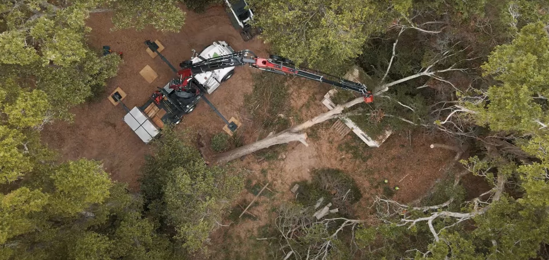 Professional tree service operations with proper safety protocols Aerial view of tree service operations and professional equipment